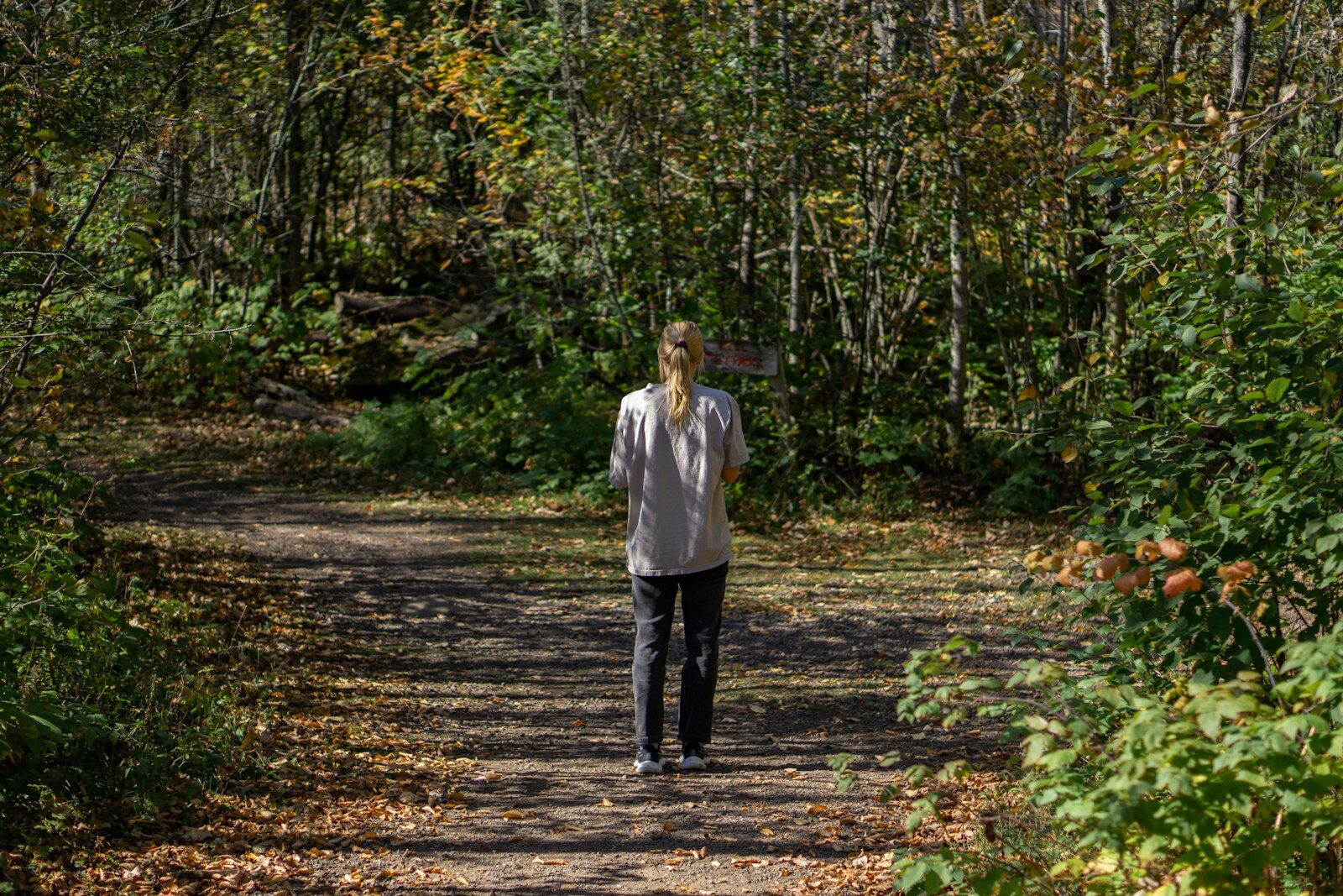 Woman walking on a path through an autumn forest.