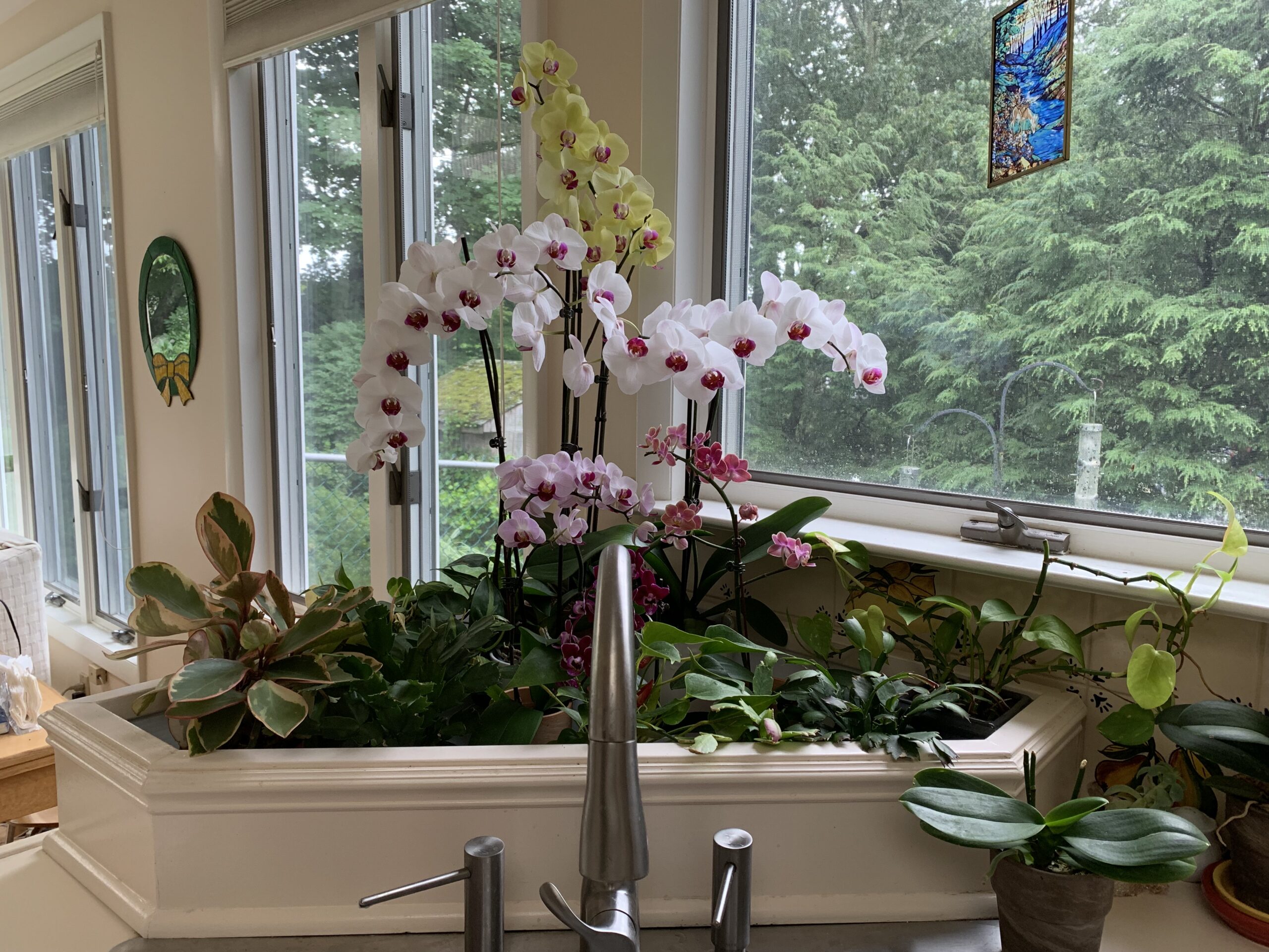 kitchen_sink_w-_planter_box